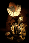 WALNY-TEATR – GDANSK, POLAND